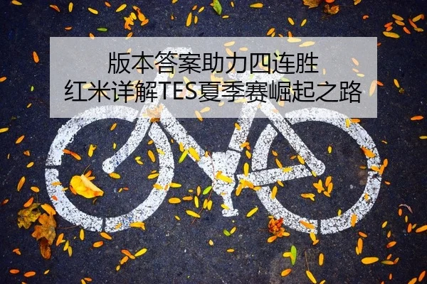 版本答案助力四连胜 红米详解TES夏季赛崛起之路